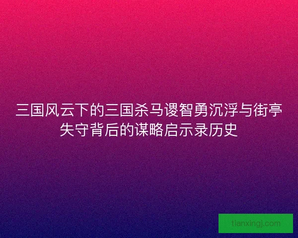 三国风云下的三国杀马谡智勇沉浮与街亭失守背后的谋略启示录历史