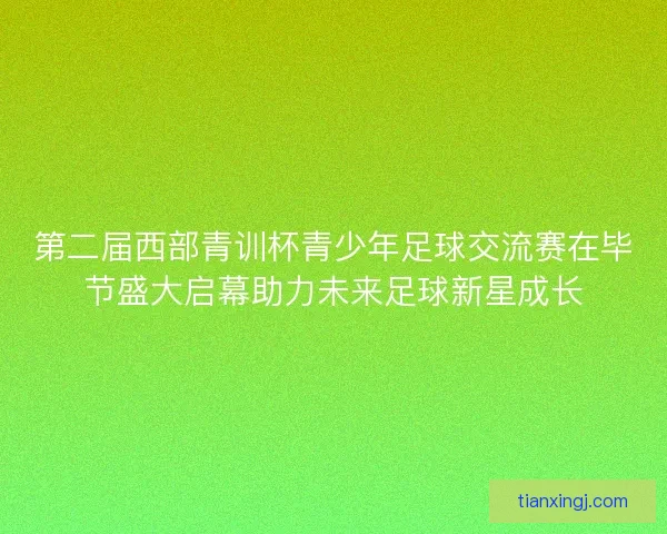 第二届西部青训杯青少年足球交流赛在毕节盛大启幕助力未来足球新星成长